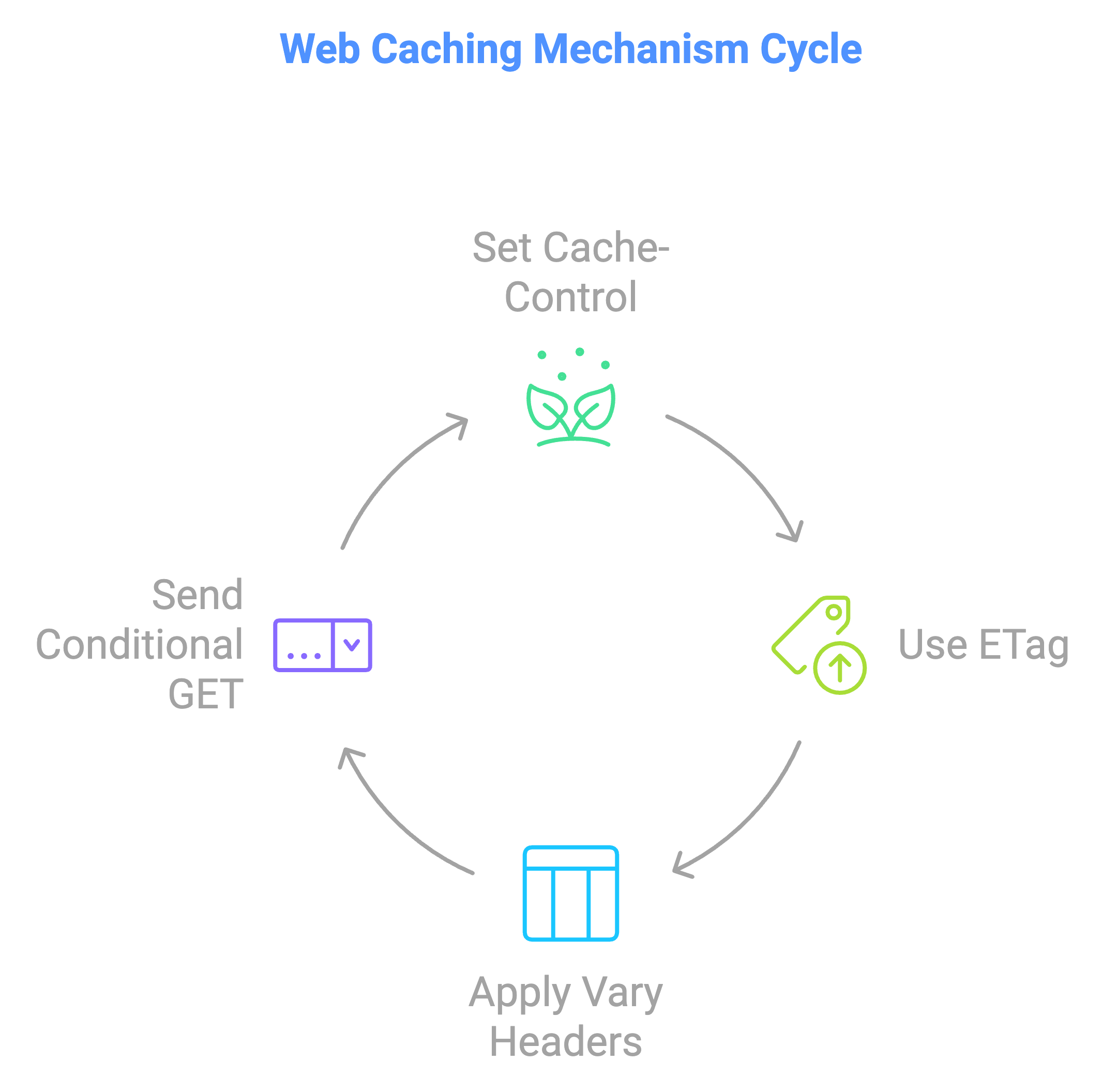 6-Mechanism